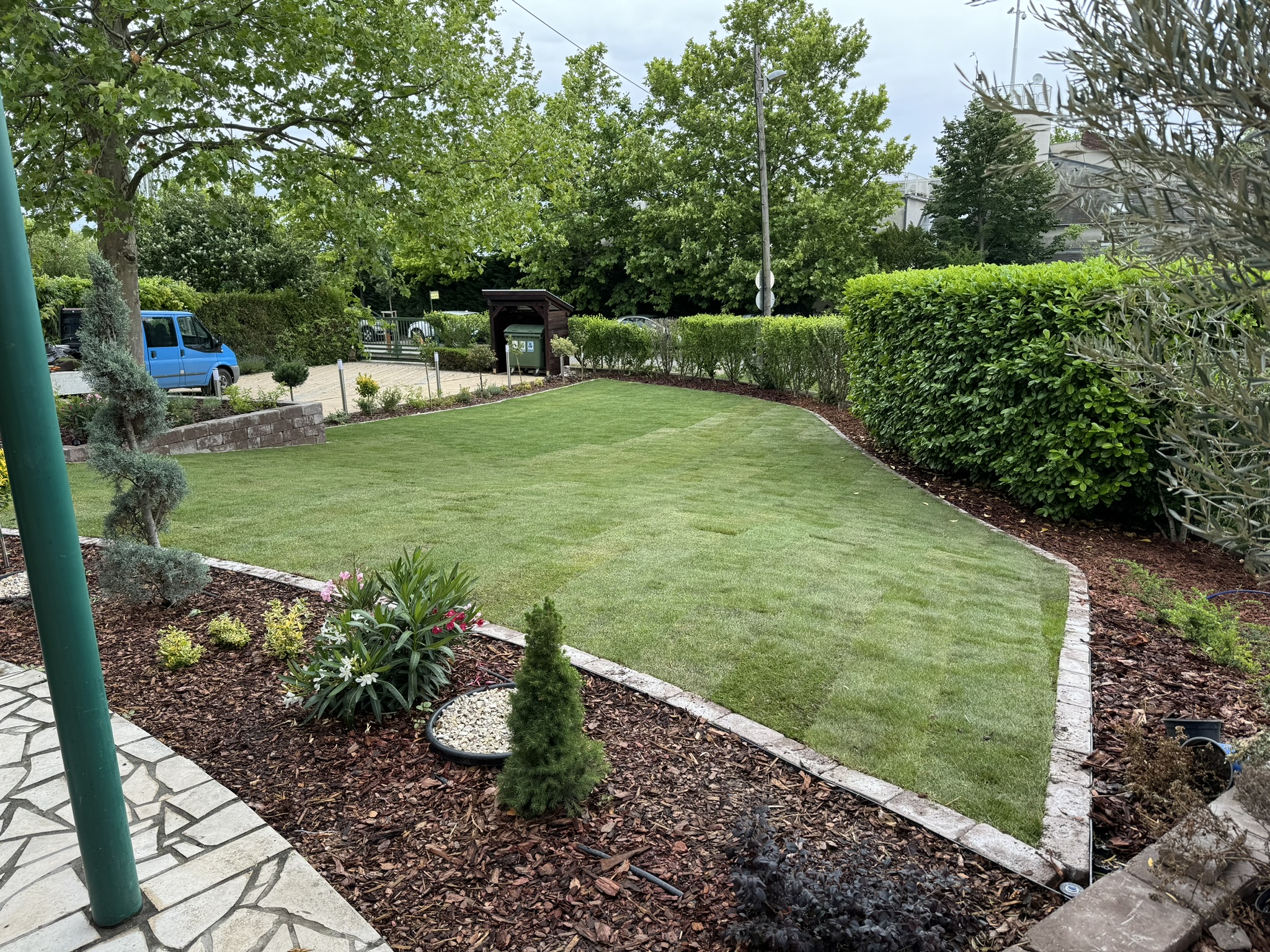 Precisely cut lawn with a border all around, with a driveway in the distance.