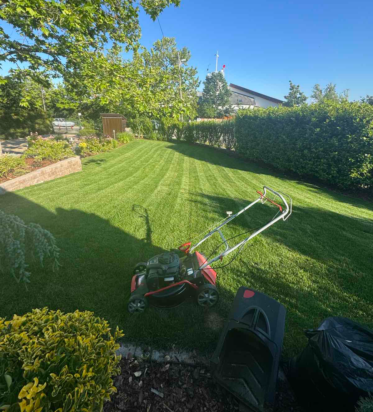 A brilliantly sunny garden section with a beautifully and cleanly mowed, well-manicured green lawn.