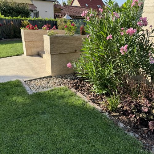 Freshly cut green lawn with blooming pink oleanders.