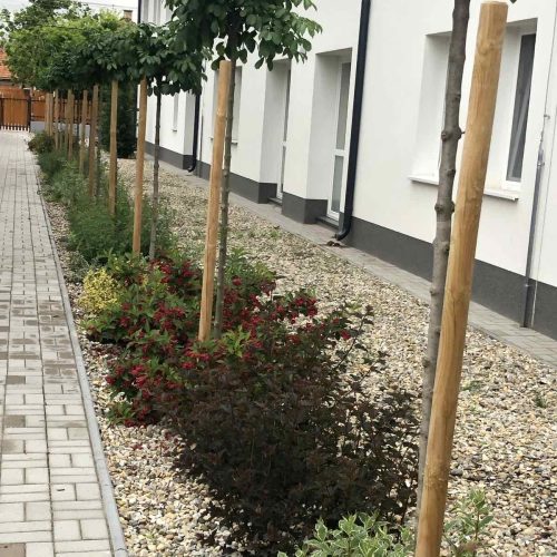 Beautifully paved walkway with edging and a well-maintained, tidy garden in the courtyard of Tátika Kindergarten